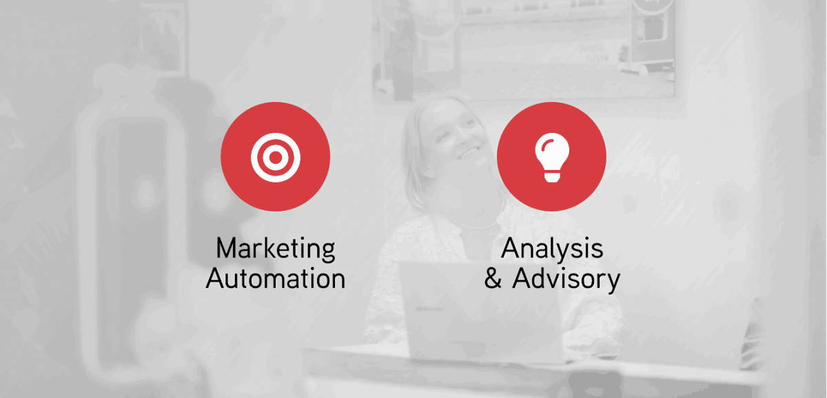 Salesforce marketing automation newbie